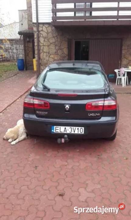 Laguna 2 sprawna 19dci Motoryzacja Pabianice