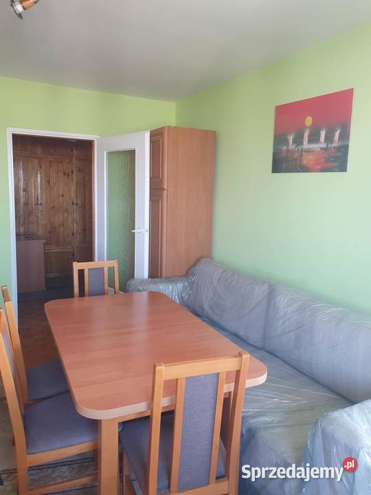 samodzielne mieszkanie wielkopolskie Koło