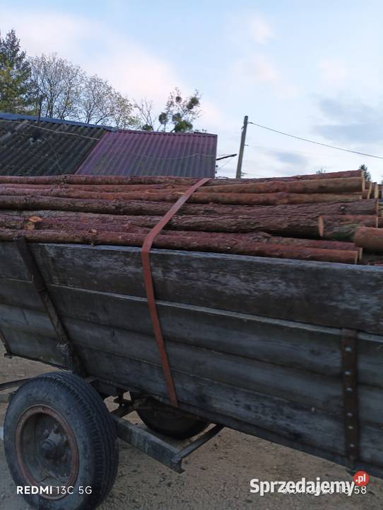 Stemple budowlane sosnowe 3m duże ilości stała Wielkie Oczy