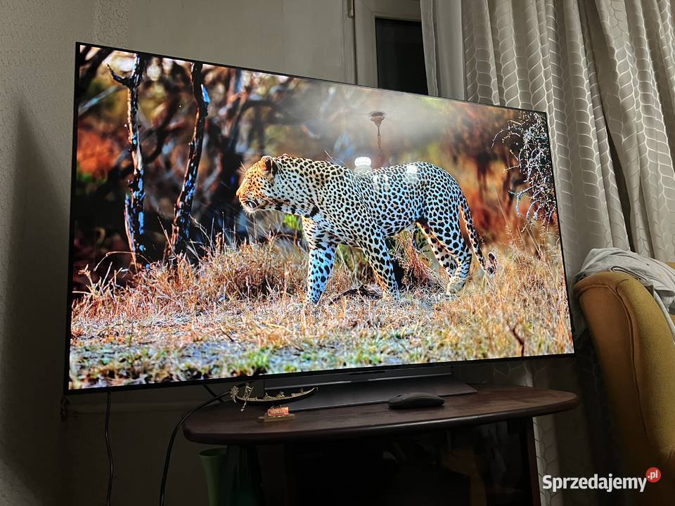 Telewizor LG 55 OLED evo 4K 120Hz HDR ze