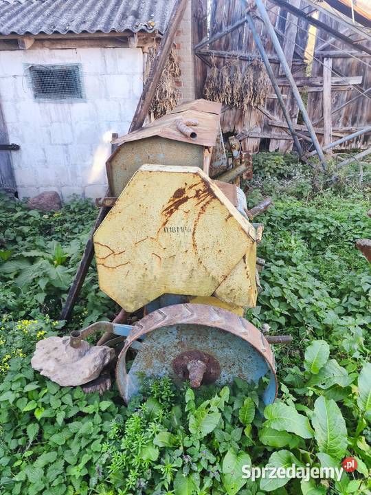 siewnik lubelskie Radomirka