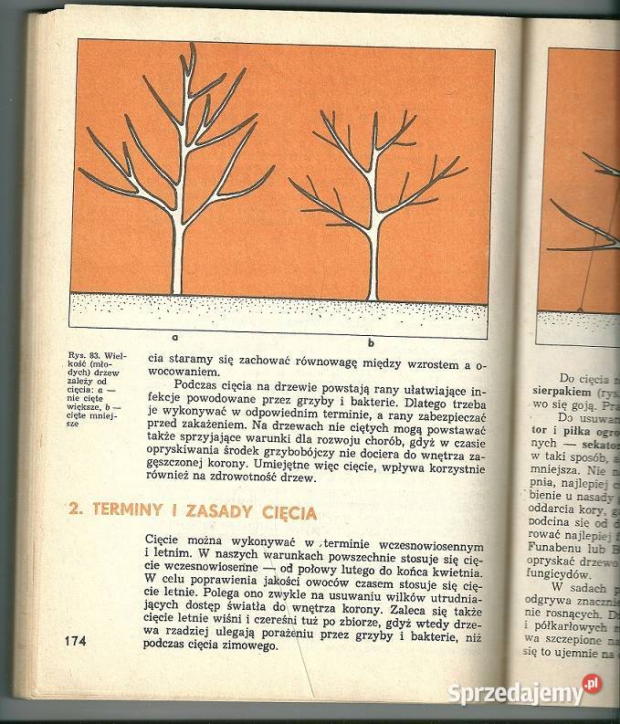 Sadownictwo i szkółkarstwo sad ogród szczepienie Podręczniki łódzkie Łódź