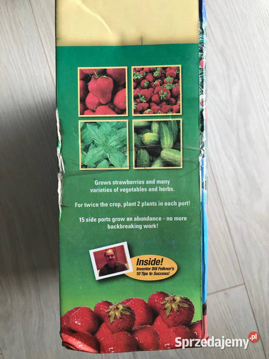 Blakonowa szklarnia pomidory truskawki świętokrzyskie Kielce
