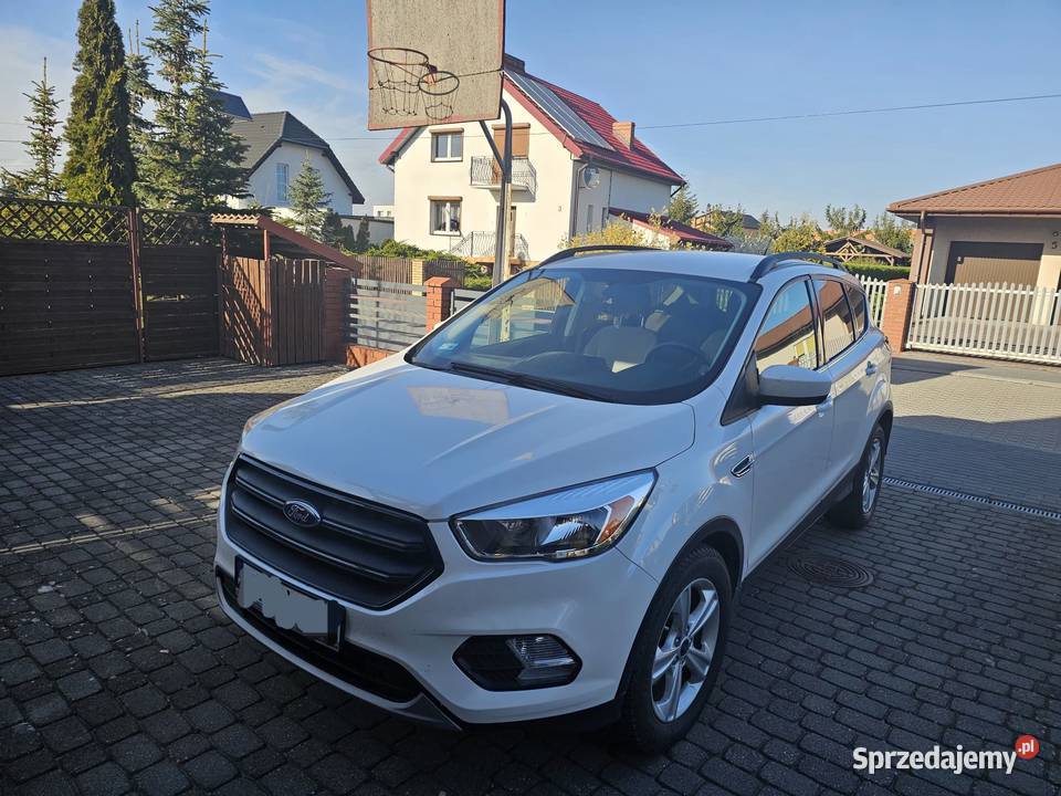 Ford Escape Kuga Rogowo