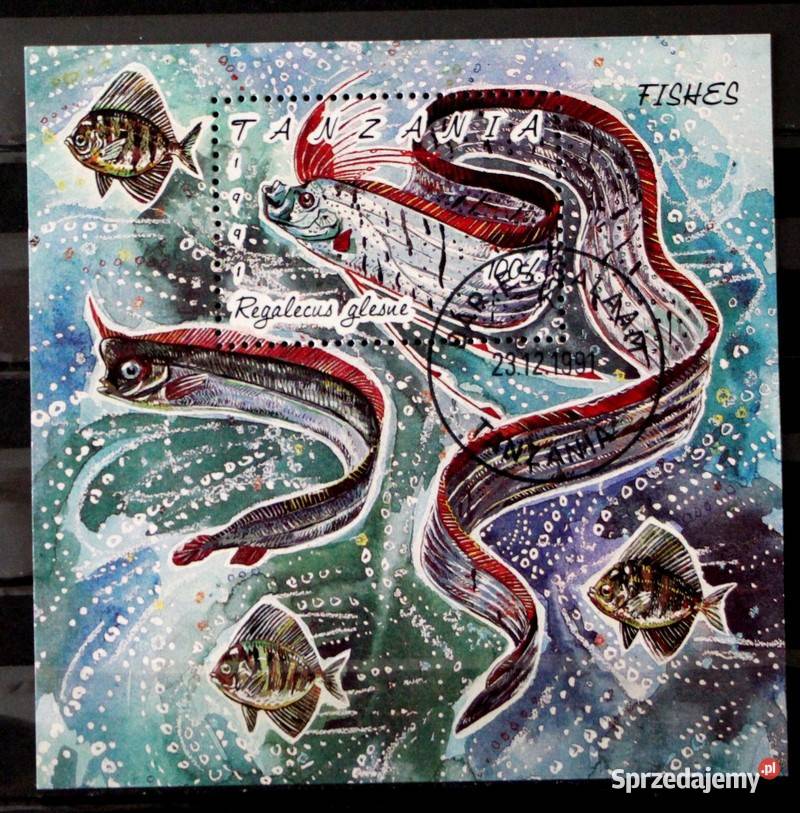 Tanzania blok 2 Oborniki