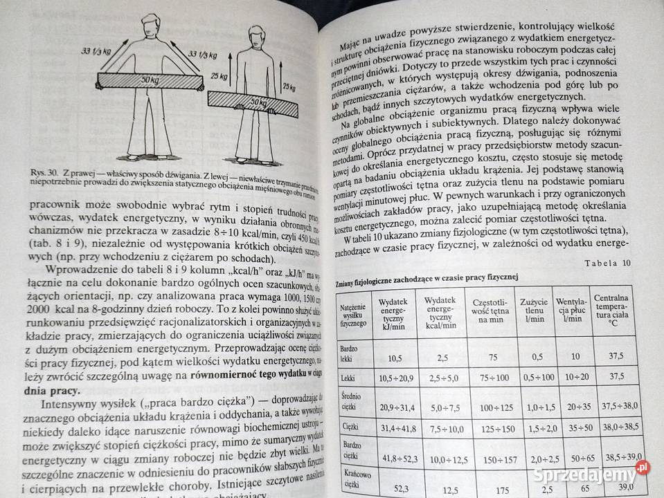 Bezpieczeństwo i higiena pracy Arwid Hansen Pozostałe Chełm