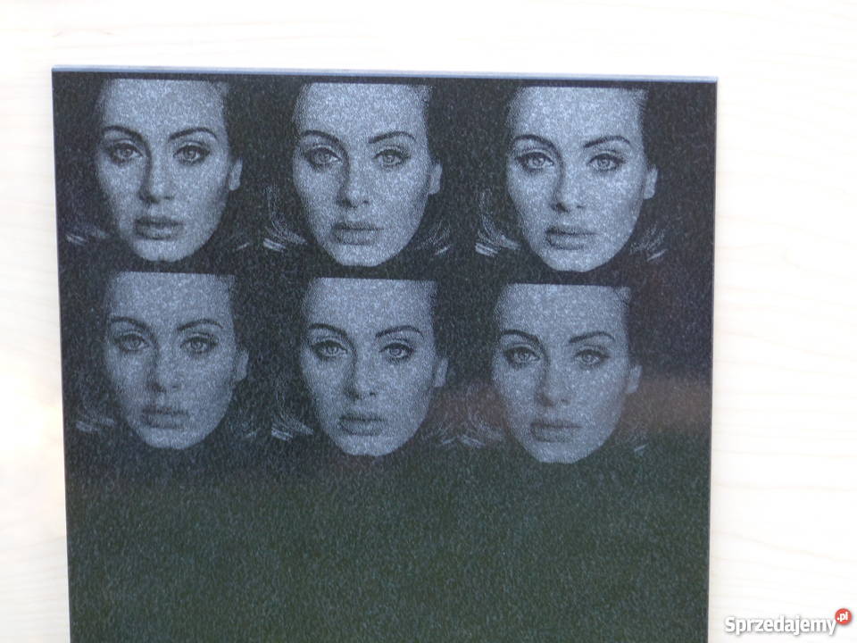 Ploter laserowy do cięcia tkaninpleksy