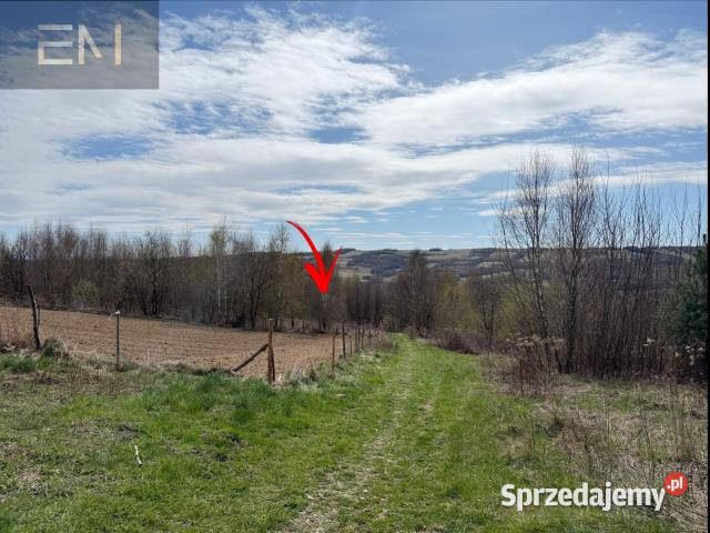 Działka 2500m2 Glinik Górny 7zł/m2 sprzedam