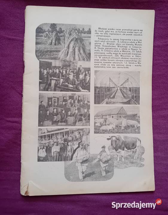 Miesięcznik Plon 12 z 1937 r IV wielkopolskie Koźminek