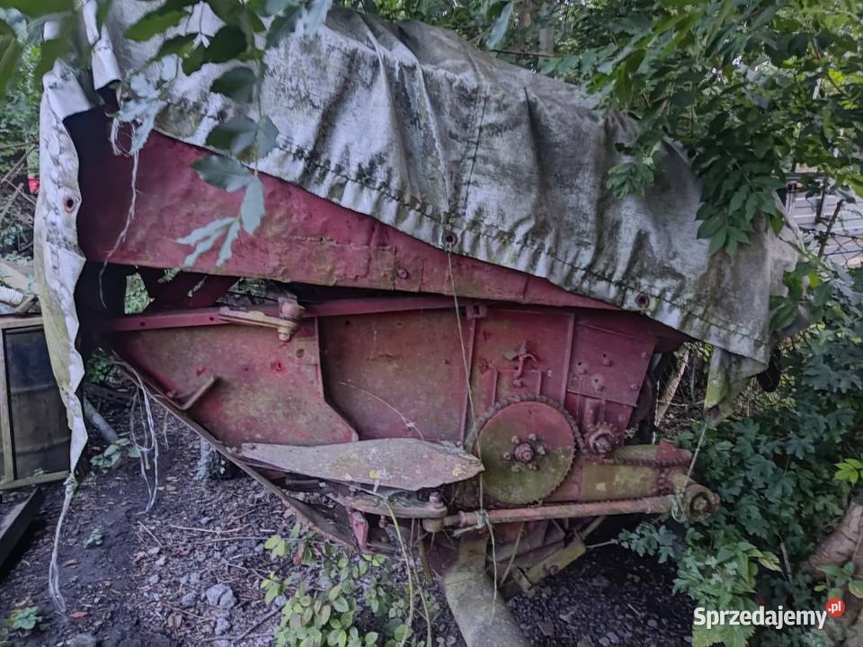 Bizon Rekord Z058 Bizon Galowice sprzedam