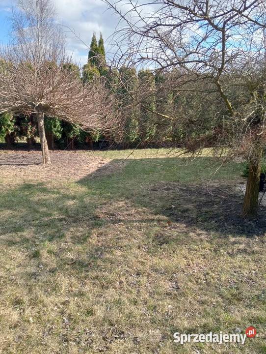 Działka 300m2 ROD Środa Wielkopolska