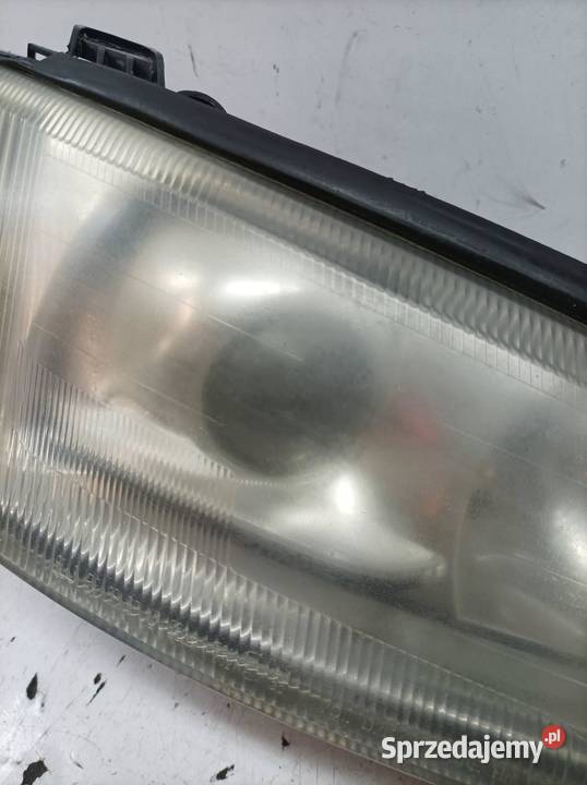 LAMPA PRZÓD PRAWA XENON 1EL00905002 24406227RH