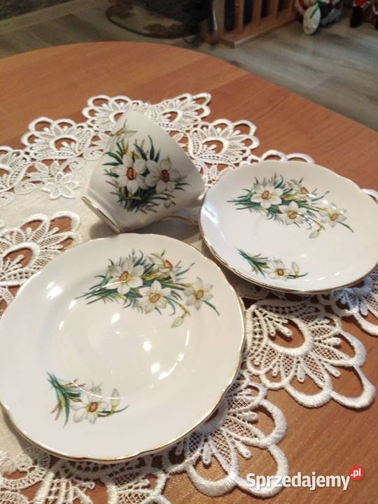 Porcelana angielska opolskie Brzeg