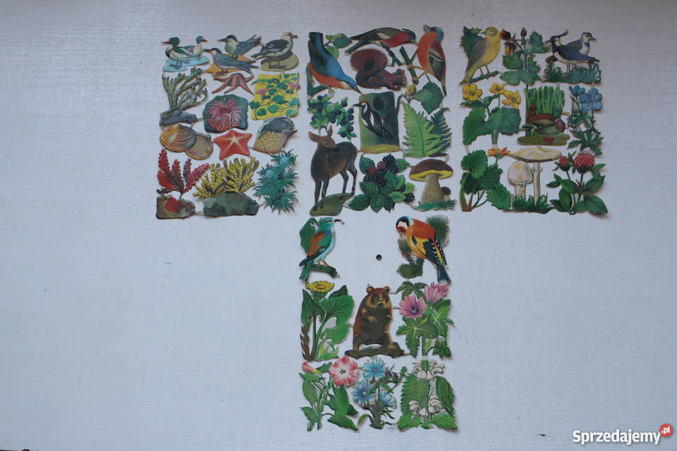 unikatowe obrazki wydzieranki Planet Verlag Warszawa