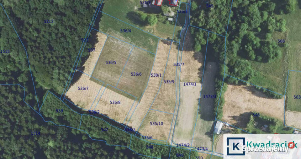 Działka 12569m2 Niepla 0zł/m2 sprzedam