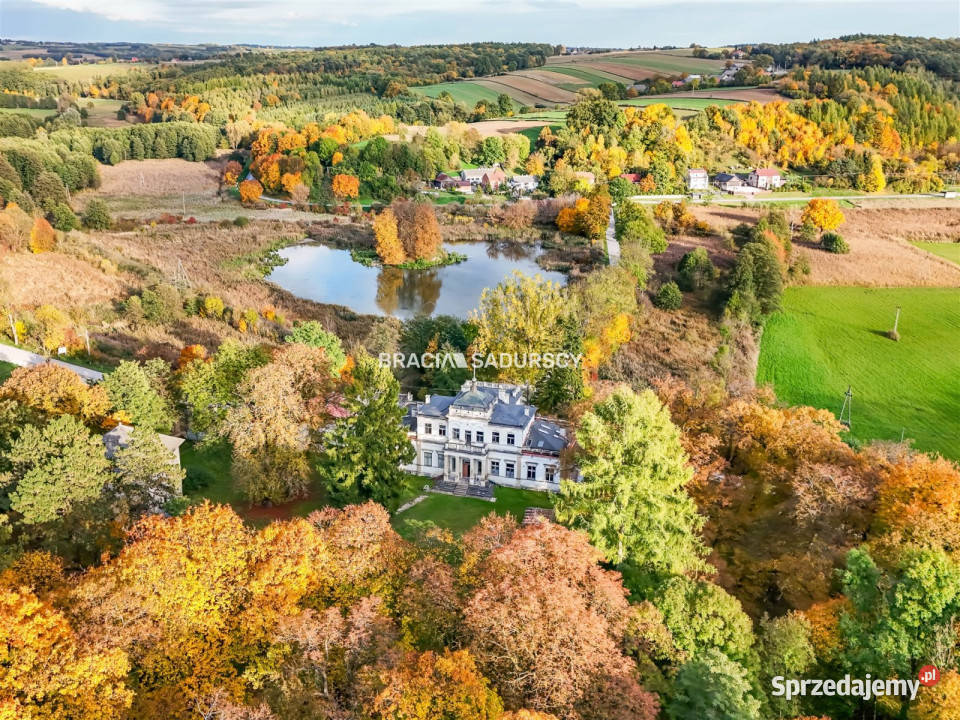 Sprzedam lokal Działoszyce 982m2 7026zł/m2