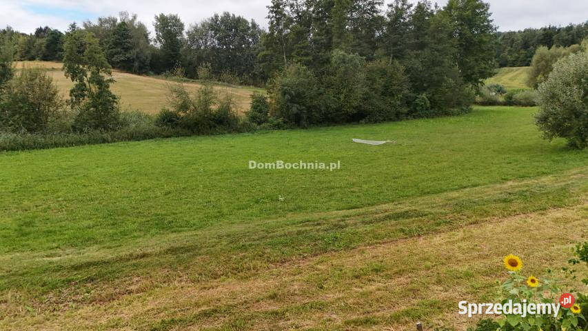 Grunt Gruszów 6200m2 Sprzedaż