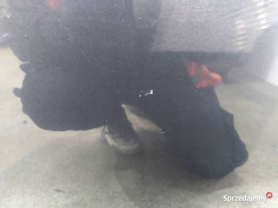 DRZWI PRAWE PRZÓD BE Kia Sportage III 20102015