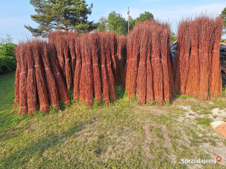 Wiklina sucha sortowana podkarpackie sprzedam