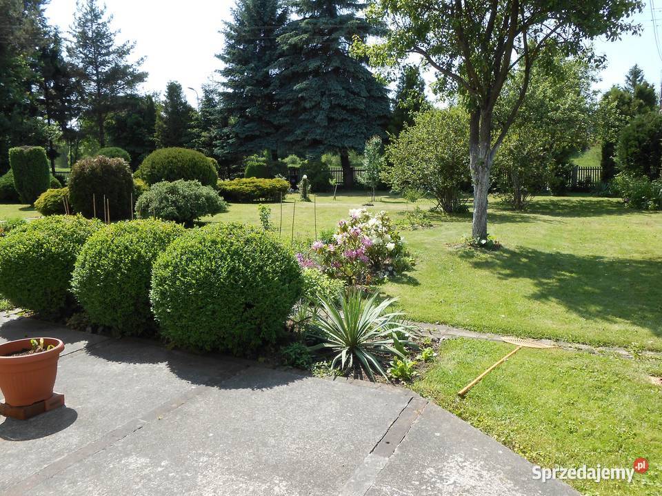 Kamienna Góra dom z ogrodem 640 dolnośląskie