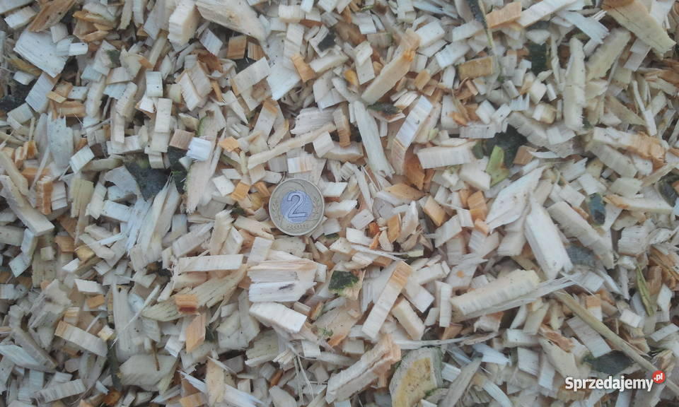 Zrębki drzewne tani opał najtańsze ciepło Drobin