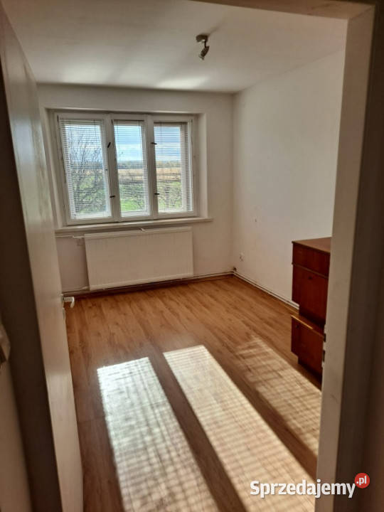 Sprzedam mieszkanie bezczynszkowe Liczba pokoi 6 Dębina