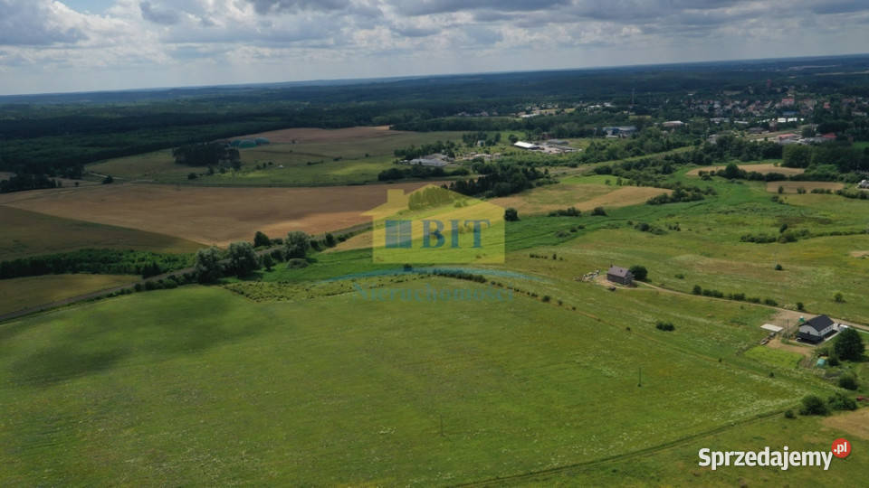działka 195 ha na obrzeżach Złocieńca zachodniopomorskie Złocieniec