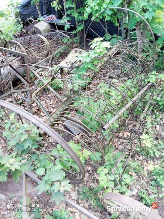 Grabiarka Bystrzyca Górna