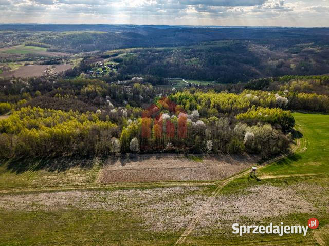 Działka 4836m2 Hadle Kańczuckie podkarpackie