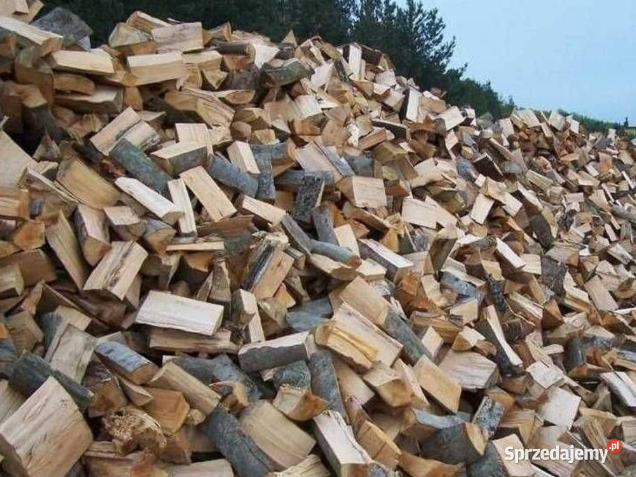 Drewno opałowe brzoza grabdab sosna akacja Leśnictwo