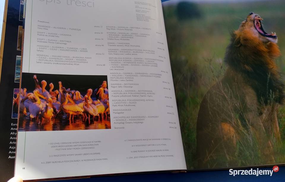 Afryka cuda przyrody Giovanni Giuseppe Bellani geografia pomorskie Gdańsk