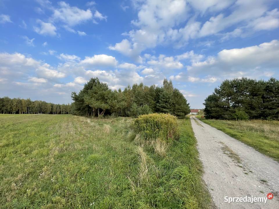 Działka z możliwością budowy domu 14 arów mazowieckie