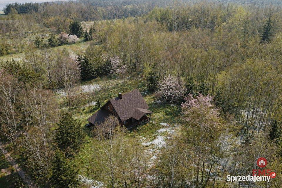 Sprzedaż domu wolnostojącego Skrybicze 6991m2