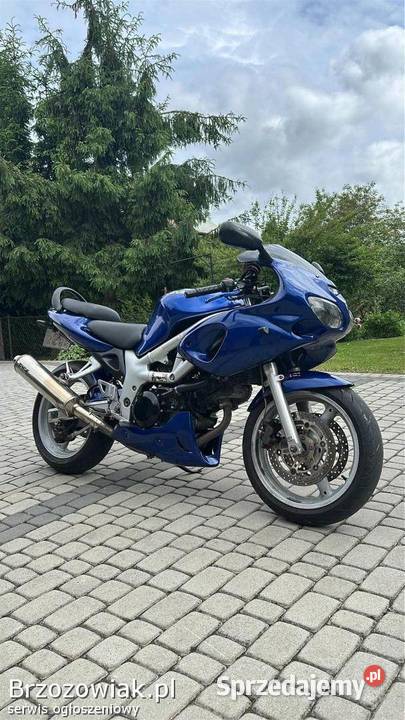Suzuki SV 650 2001 podkarpackie Krościenko Wyżne