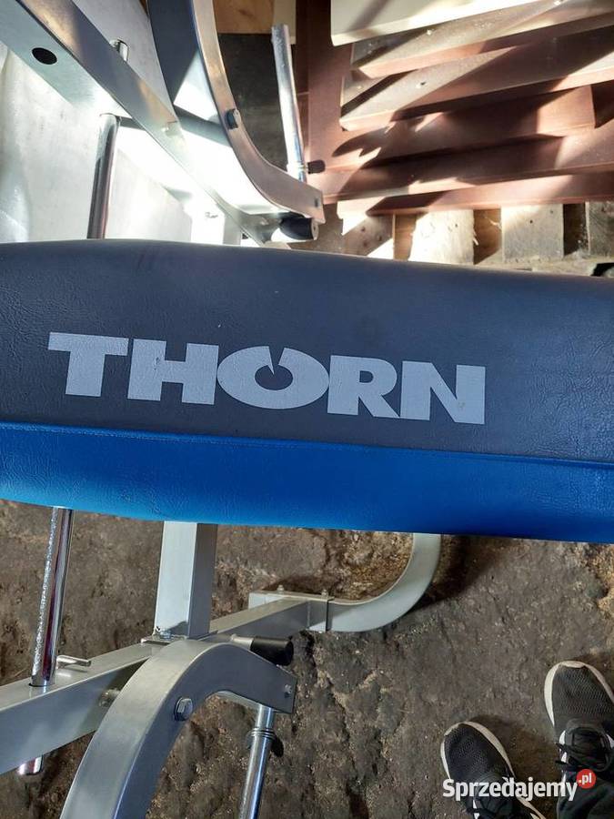 Ławeczka wielofunkcyjna THORN Sprzęt do ćwiczeń Skórzno