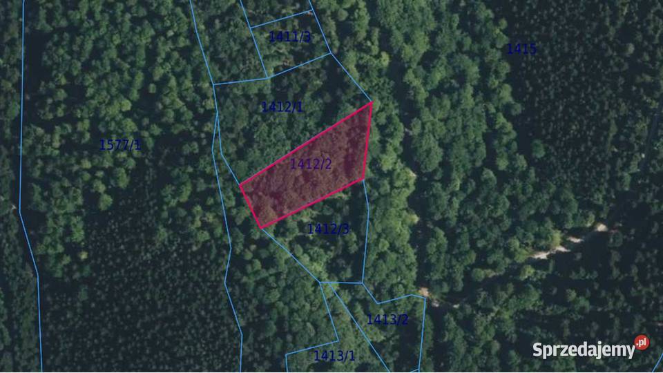 Sprzedam Las w Przysietnicy małopolskie