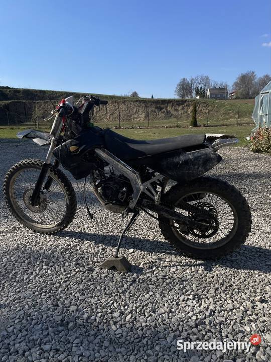 Derbi senda w ebs Kazimierza Wielka