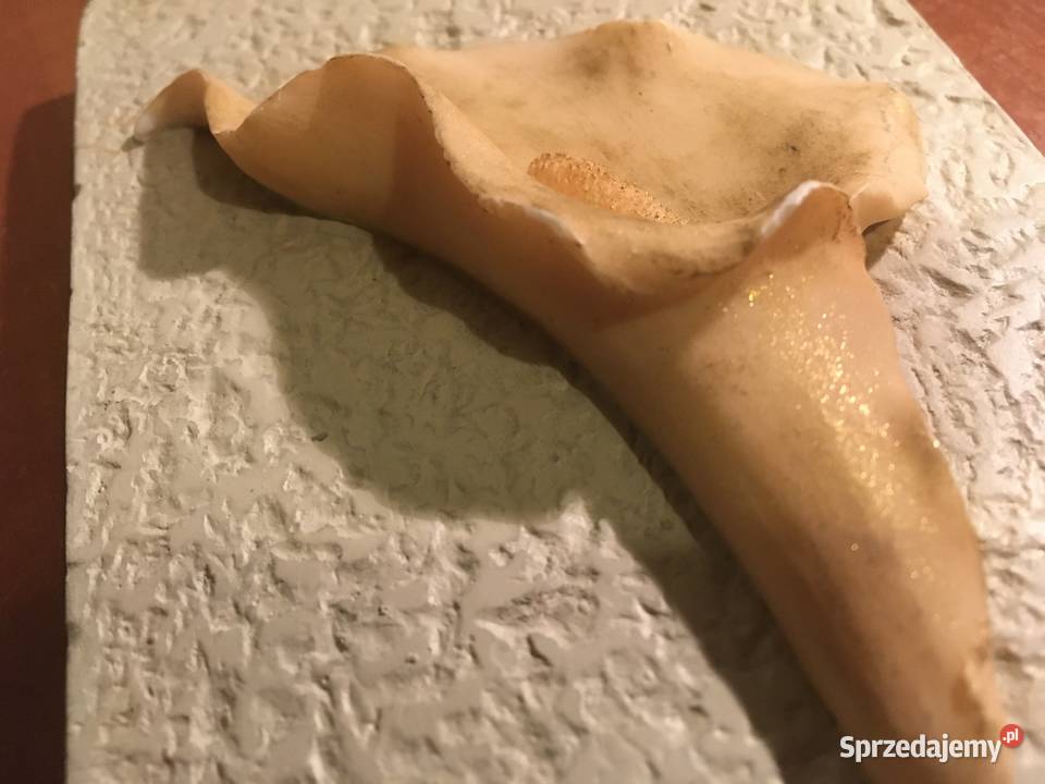 dekoracyjna płytka naścienna