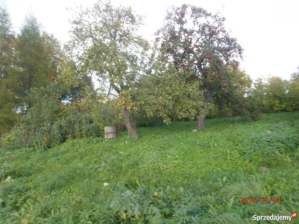 dom z dzialkom Domy Piłaki Wielkie