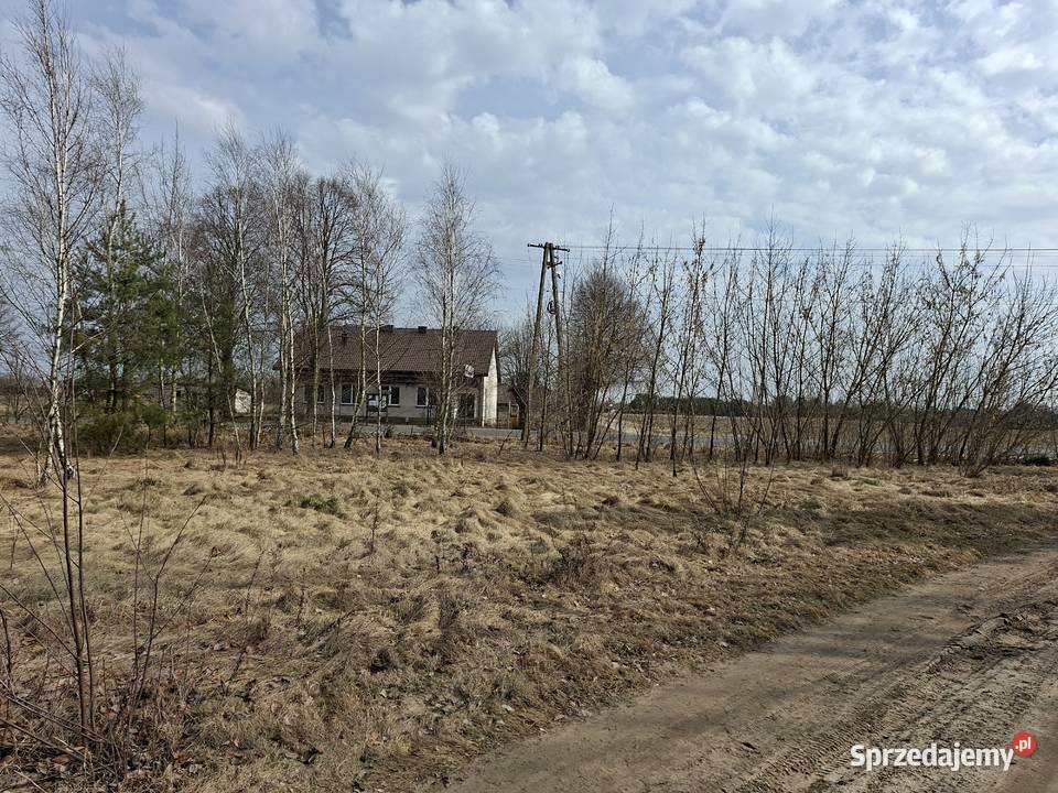 Syndyk sprzeda udział 112 Tyczyn Sieradzkie