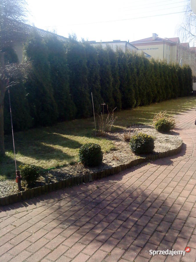 Dom na sprzedaz w Wejherowie 3542zł/m2