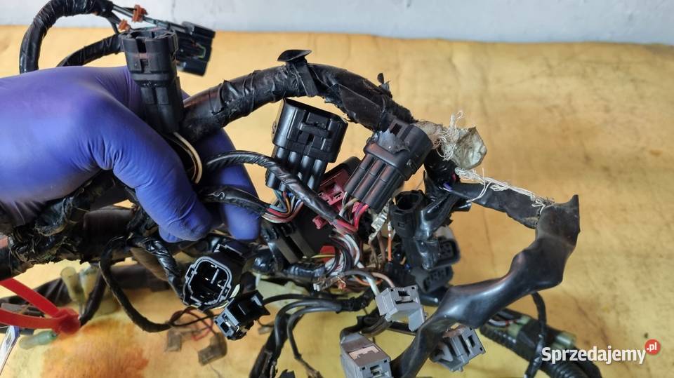 Kawasaki VN2000 wiązka elektryczna Wiązki elektryczne Zabrze