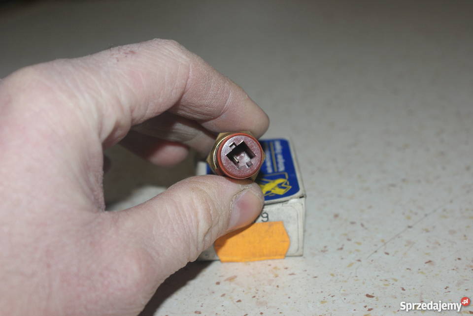 CZUJNIK TEMPWODY PANDAPUNTOUNO 83 511 479 Białobrzegi