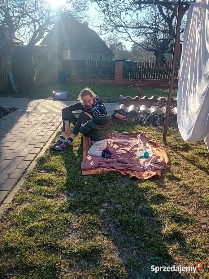 Glebogryzarka krone 230