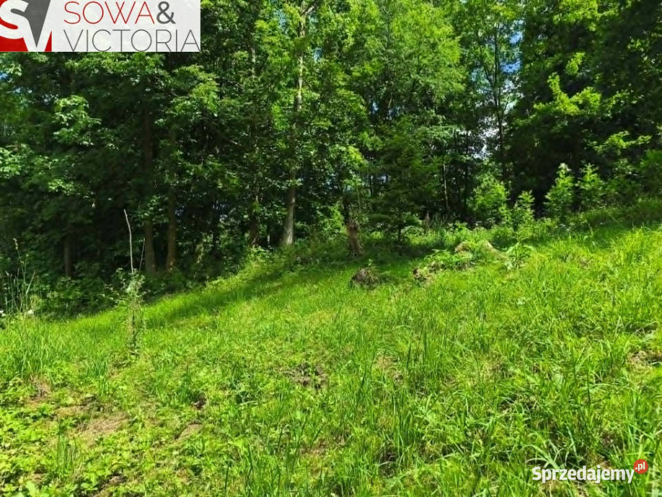 Działka rolnoleśna dolnośląskie Stare Bogaczowice