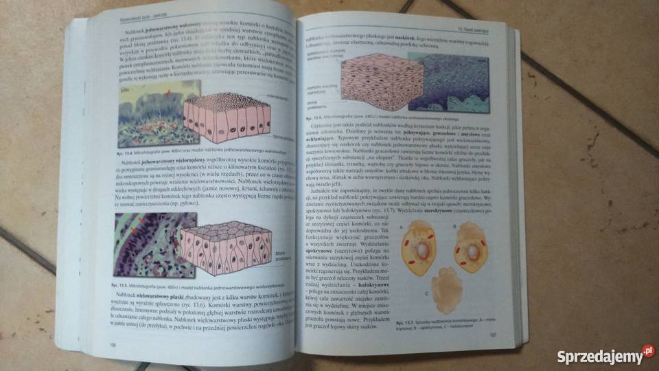 ZESTAW Biologia Operon cz12 i 3 79 z wysyłką Książki i Podręczniki warmińsko-mazurskie Olsztyn sprzedam
