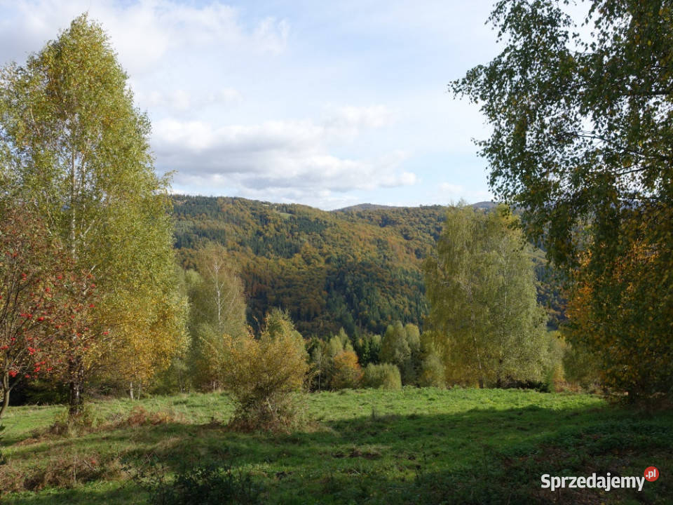 Brenna 253 ha działka inwestycyjna wyciągu Wisła