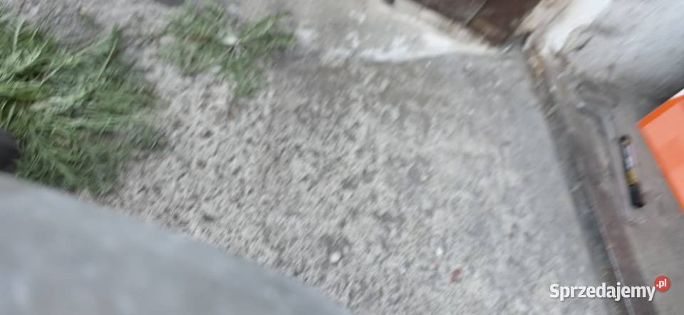 jawa 250 353 pokrywa kapa silnika prądnicy sprzedam