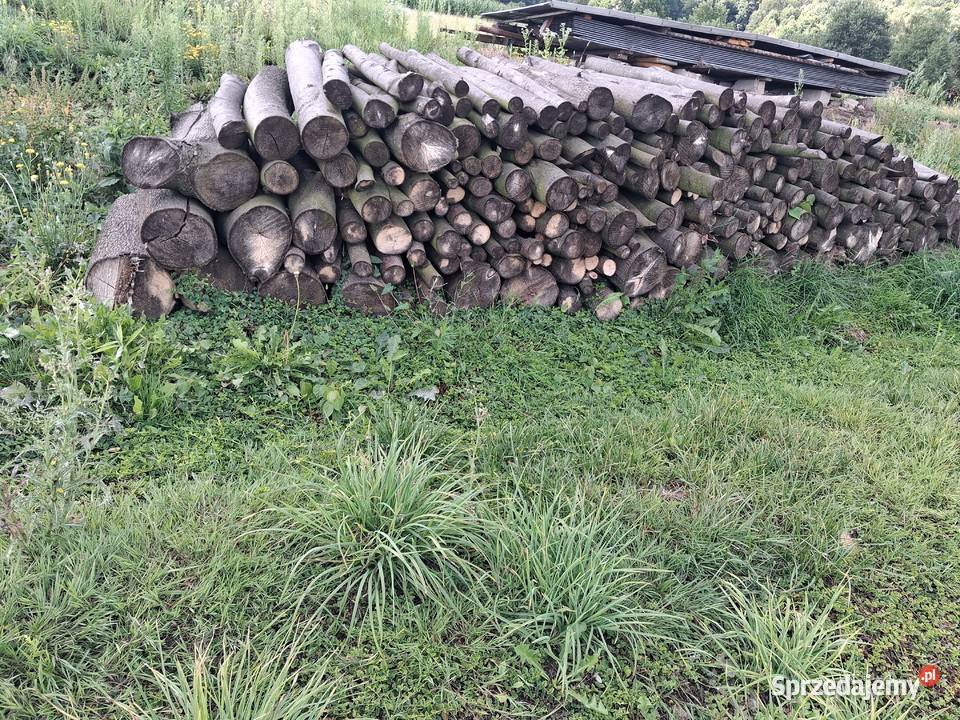 Drewno lipowe podkarpackie Strzyżów