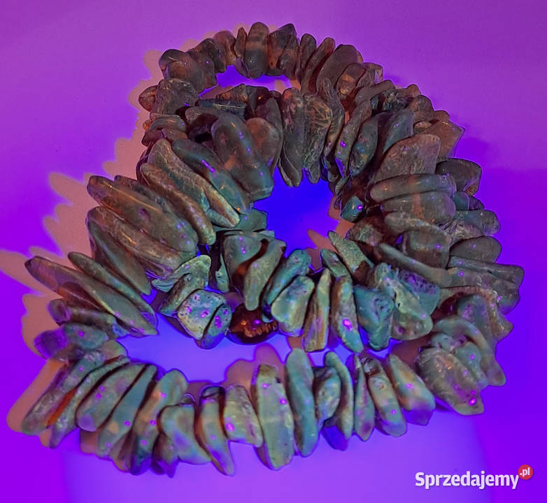 Korale z bursztynu BURSZTYN bałtycki polerowany